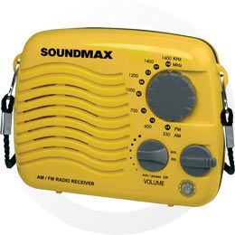  SoundMax SM-1600