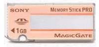   Sony Memory Stick Pro (MSX) 256 MB