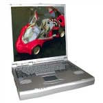  RoverBook Partner KT6 C-1200/128/20/CD/LAN100/F-m/LiIon/W`XP