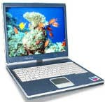  RoverBook Nautilus E410 P-M 1600/512/60/DVD-CDRW/Wifi/W